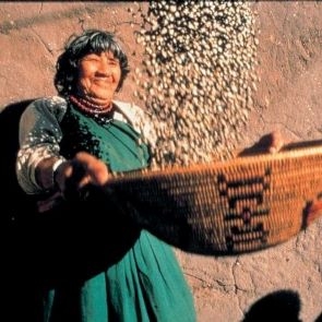 Elder basket of acorns. 